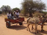 Hauling Water