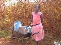 A Little Girl With A Wheelbarrow